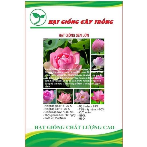Hạt giống hoa sen lớn mix màu CT52 - Gói 15 hạt