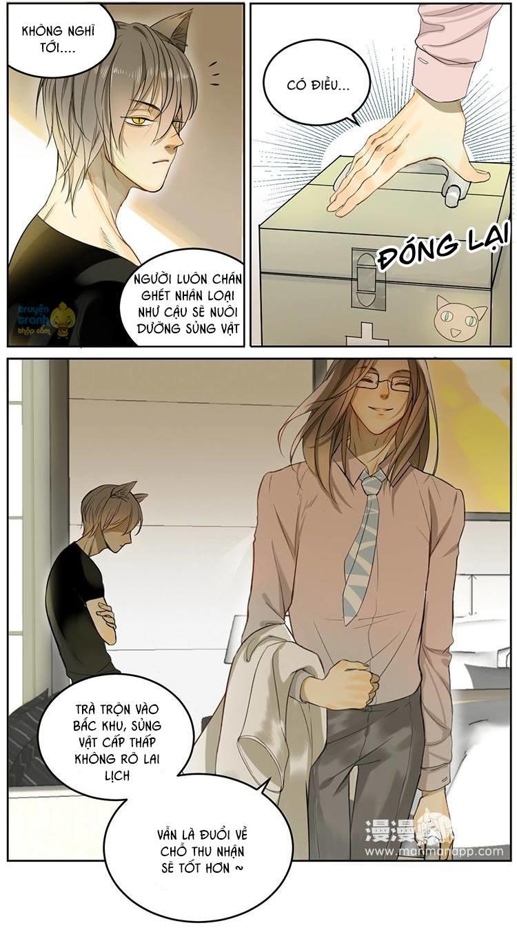 cứu mạng ! loài mèo thống trị thế giới rồi ! chapter 4 15