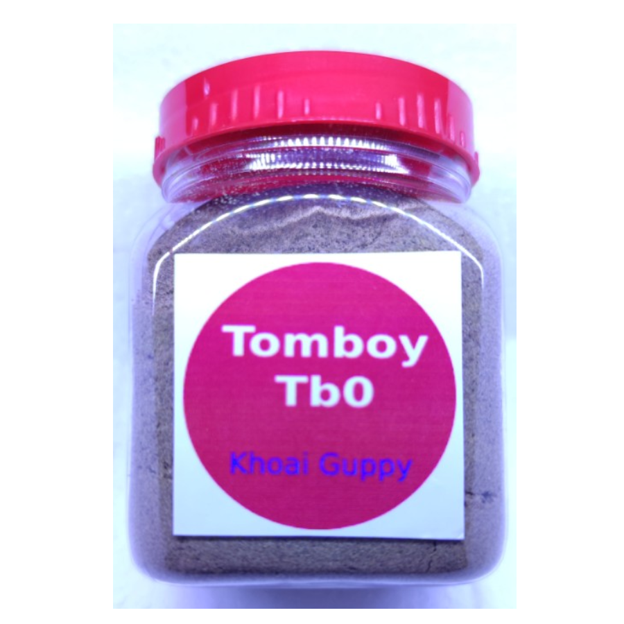 Cám Tomboy - Guppy , Betta- TB0