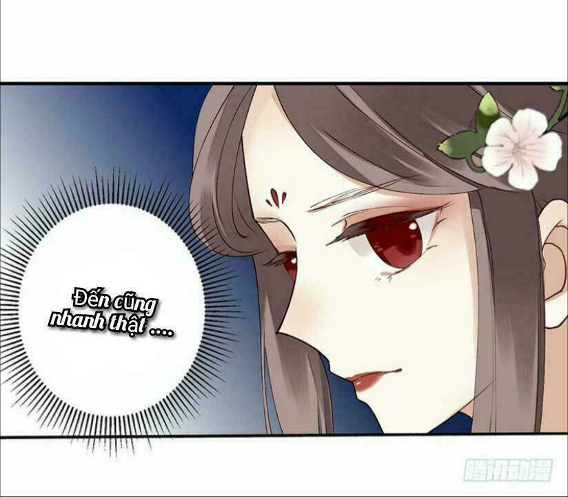 nhất đế trọng sinh mỹ nhân tâm kế chapter 22 25