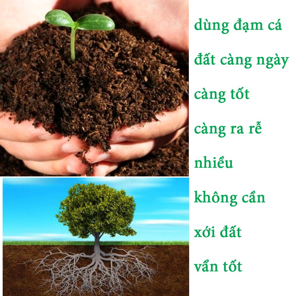 5 Lít TẶNG 2 Lít - Dịch đạm cá nước ngọt cô đặc DH, an toàn cho hệ sinh thái-076124