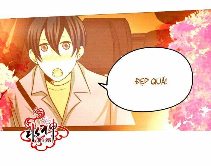 something sweet chapter 12 17