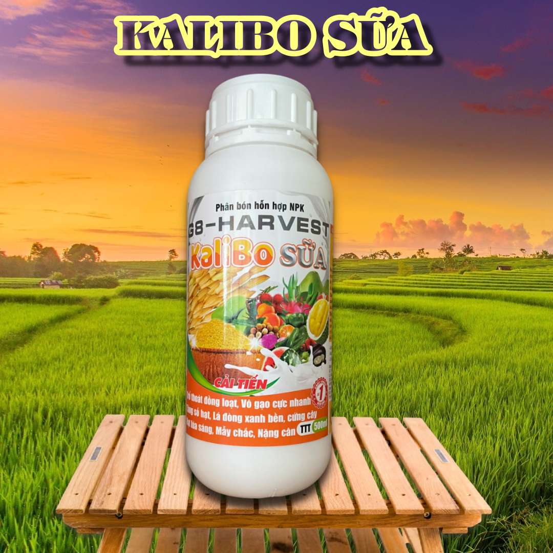 Phân bón NPK Kali Bo Sữa chai 500ml - Trỗ thoát đòng loạt, Vô gạo cực nhanh, Tăng số hạt, Lá đòng xanh bền, Cứng cây, Hạt lúa sáng