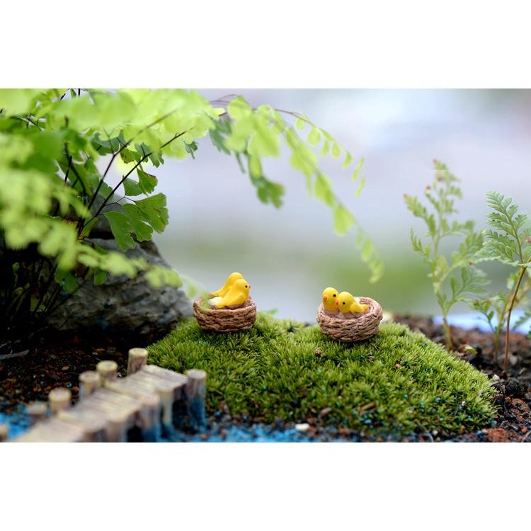 Tiểu cảnh mini ️H052 ️ Tổ chim mini trang trí tiểu cảnh, sen đá, terrarium
