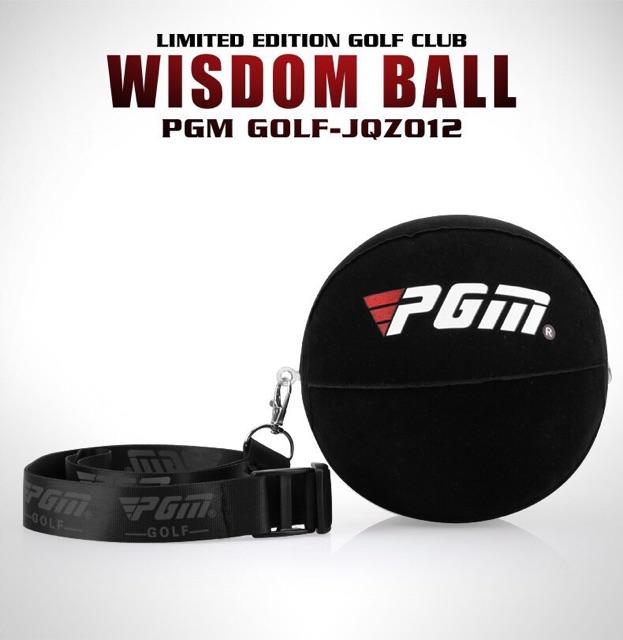 Dụng Cụ Hỗ Trợ Swing Smart Ball - PGM