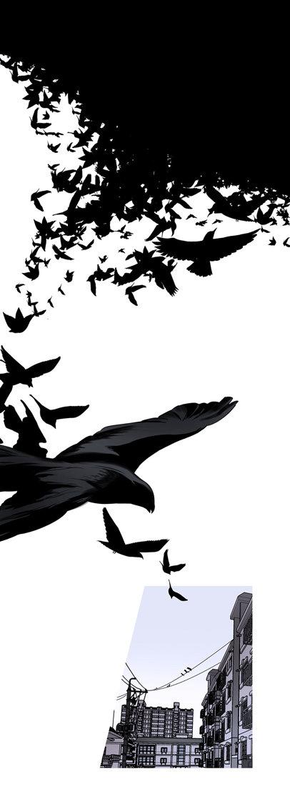 loài chim không bay chapter 1 6