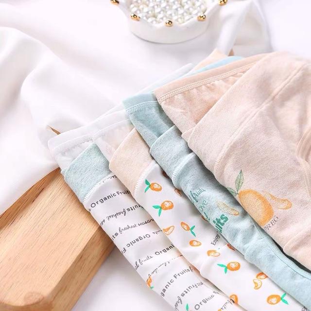 Xả Kho Túi Gồm 4 Quần Lót Bầu Cute Chất Liệu Cotton