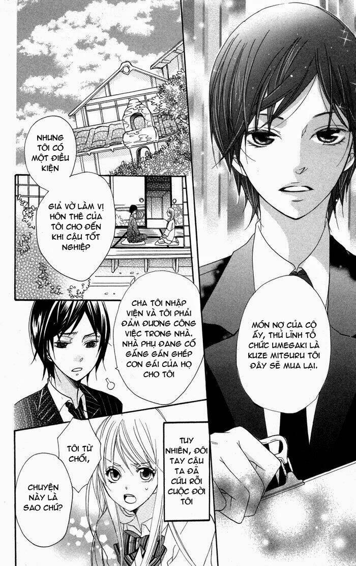 hoa hồng hoang dã chapter 2 7