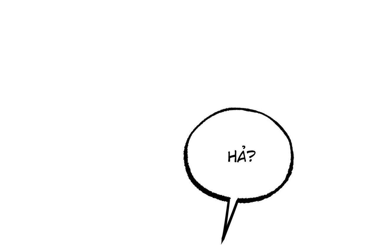 những chú thỏ của hapypy chapter 61 93