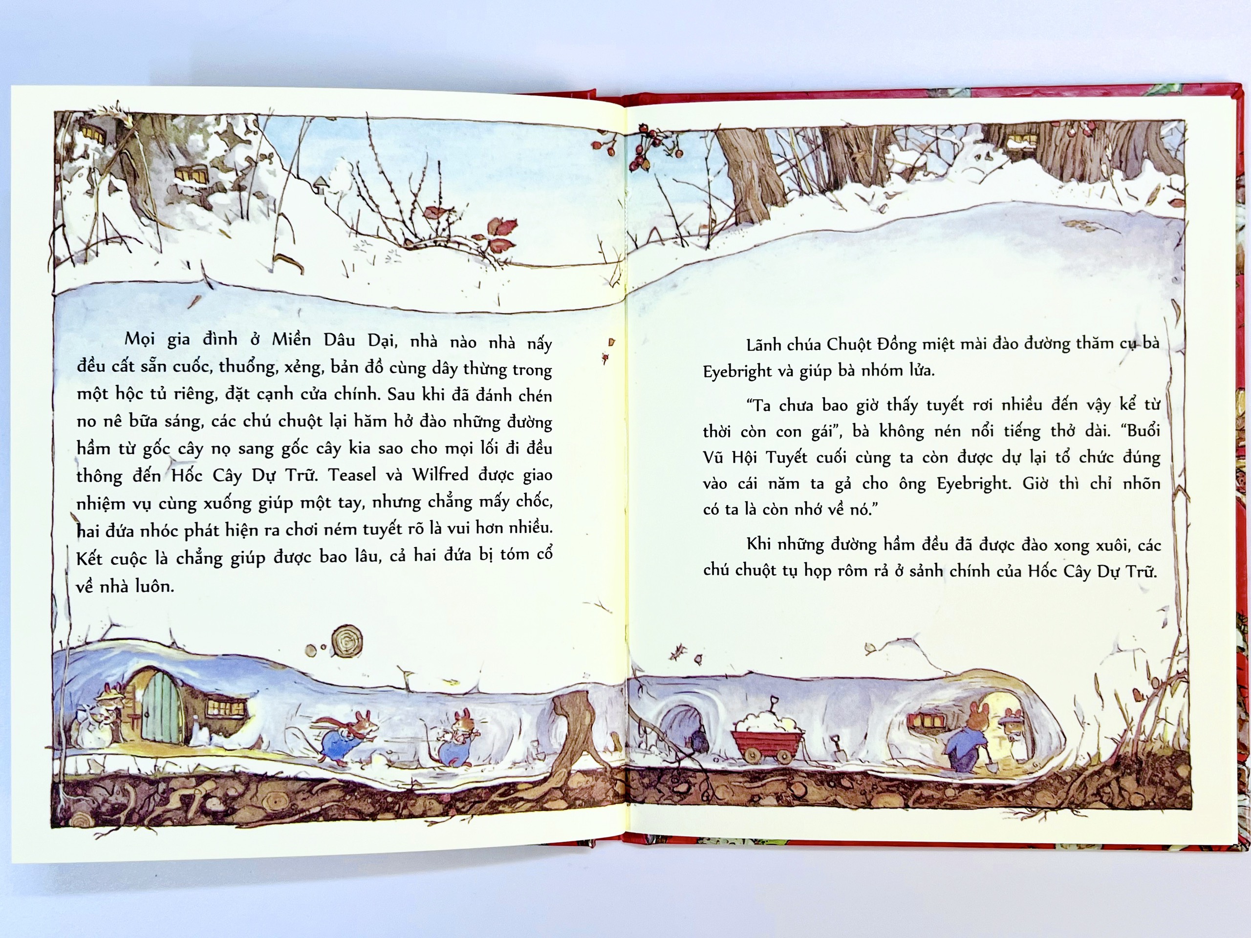 Sách - Boxset Miền Dâu Dại (Bộ 8 Cuốn) - Phiên Bản Đặc Biệt - Crabit Kidbooks - Bìa Cứng