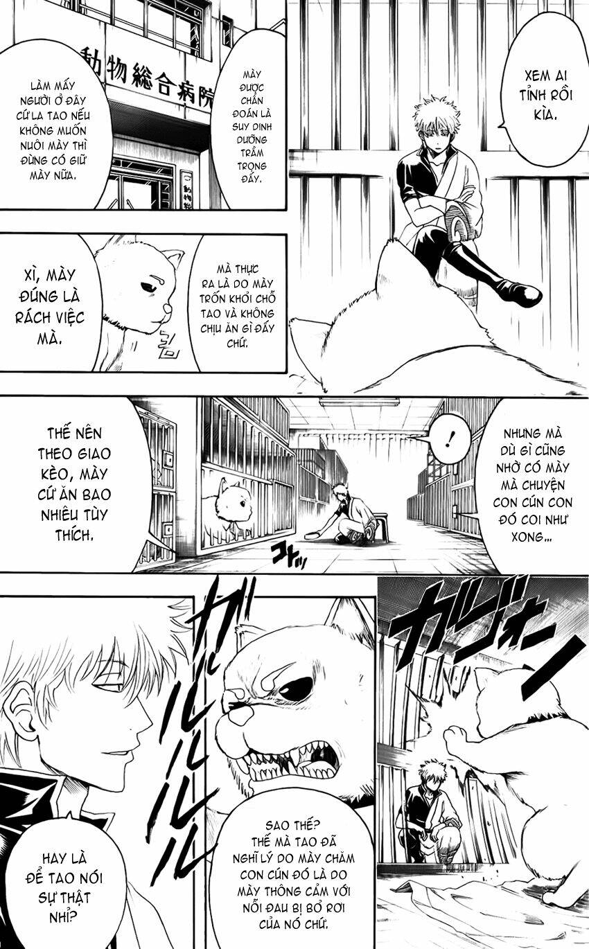 gintama - linh hồn bạc chapter 402 18