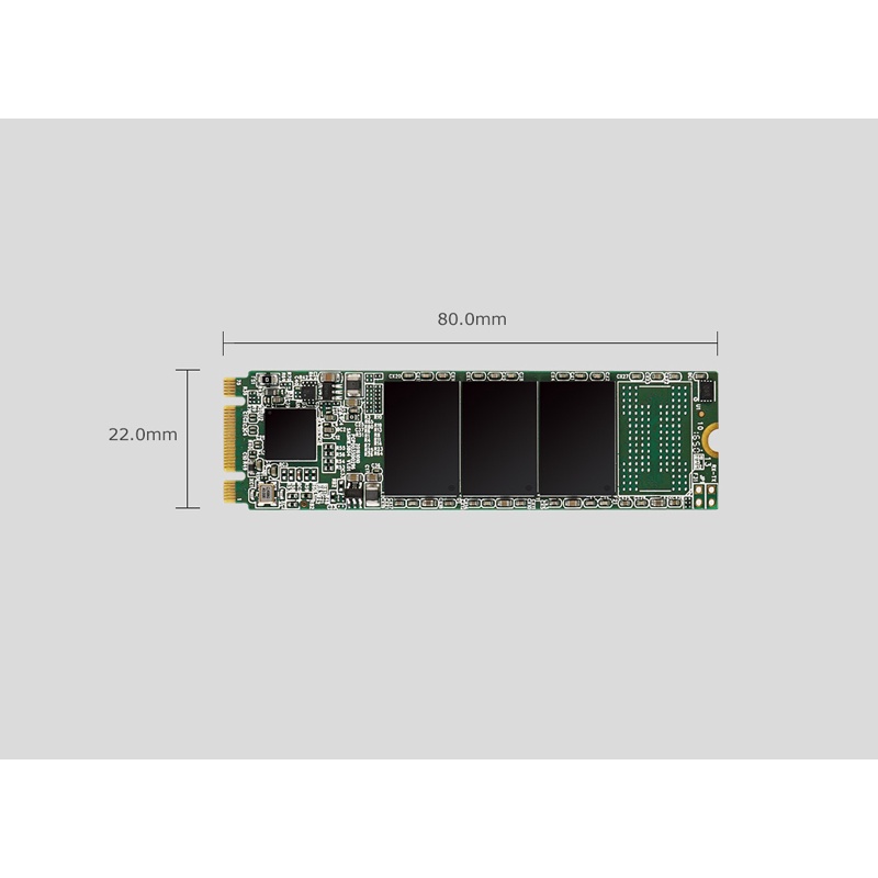 [Hàng Chính Hãng] Ổ cứng SSD Silicon Power M.2 2280 SATA A55 128GB/256GB