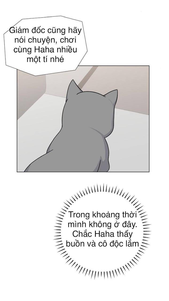 idol và sếp, em yêu ai? chapter 68 23