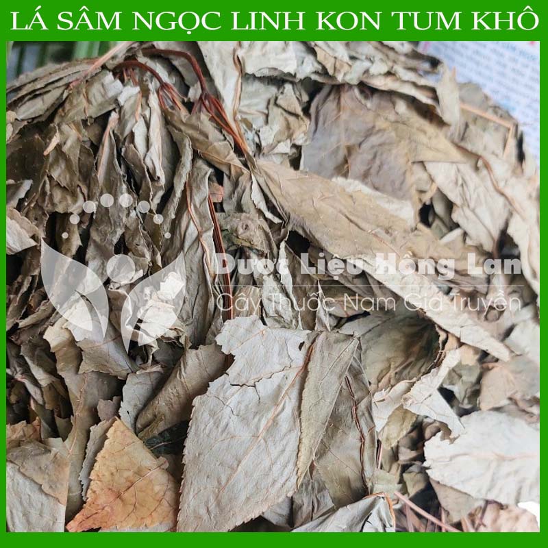 [THƯỢNG HẠNG] 100G Lá Sâm Ngọc Linh Kon Tum sấy khô nguyên chất loại 1