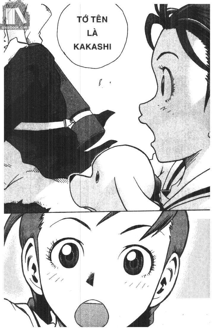 toto! the wonderful adventure chapter 9 8