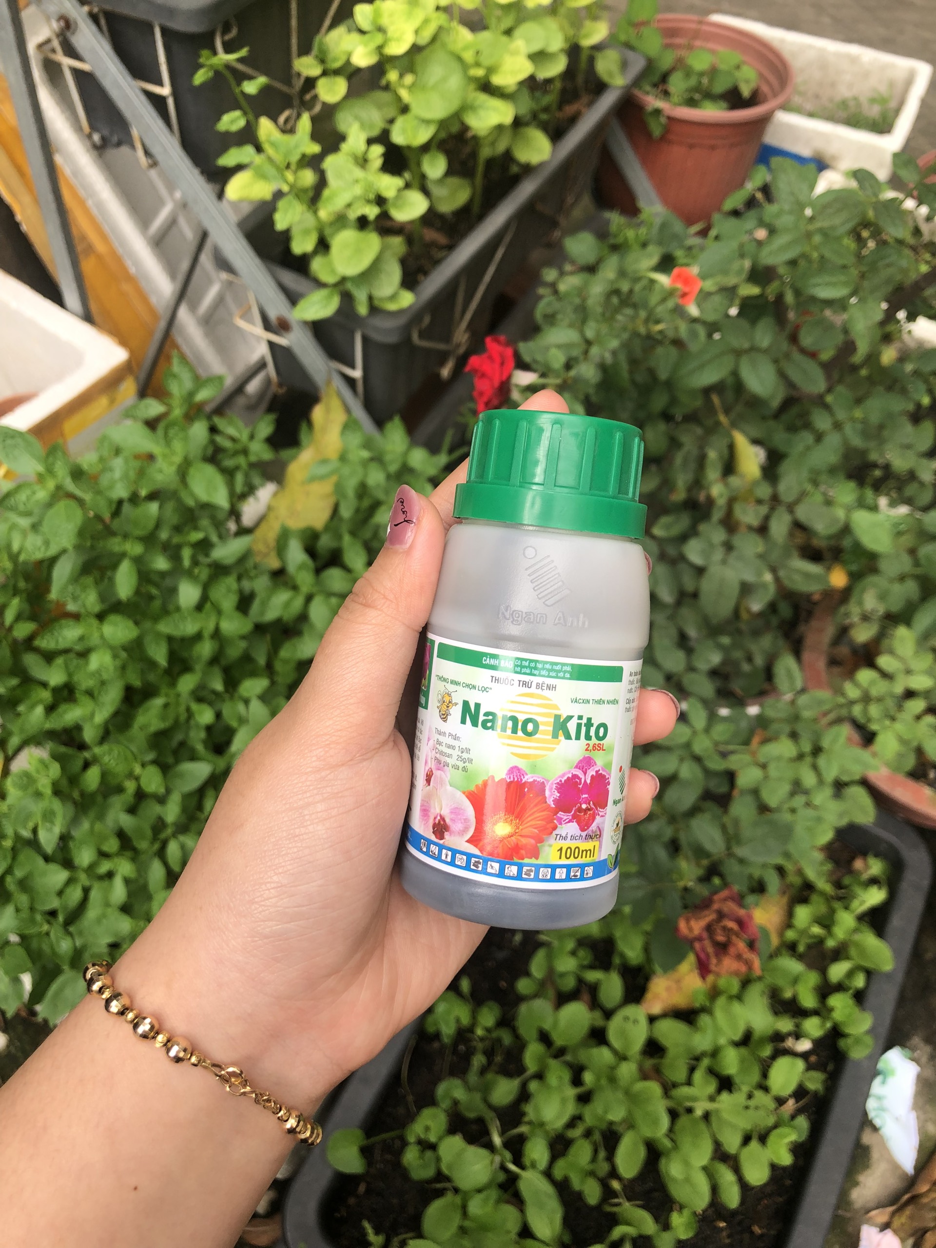 Chế phẩm phòng ngừa nấm hồng Nano kito 100ml