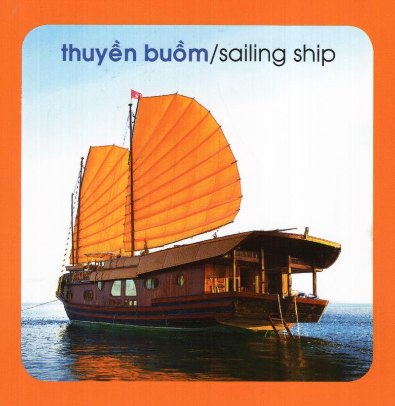 Từ Điển Hình Ảnh Cho Bé: Phương Tiện (Tái Bản 2019)
