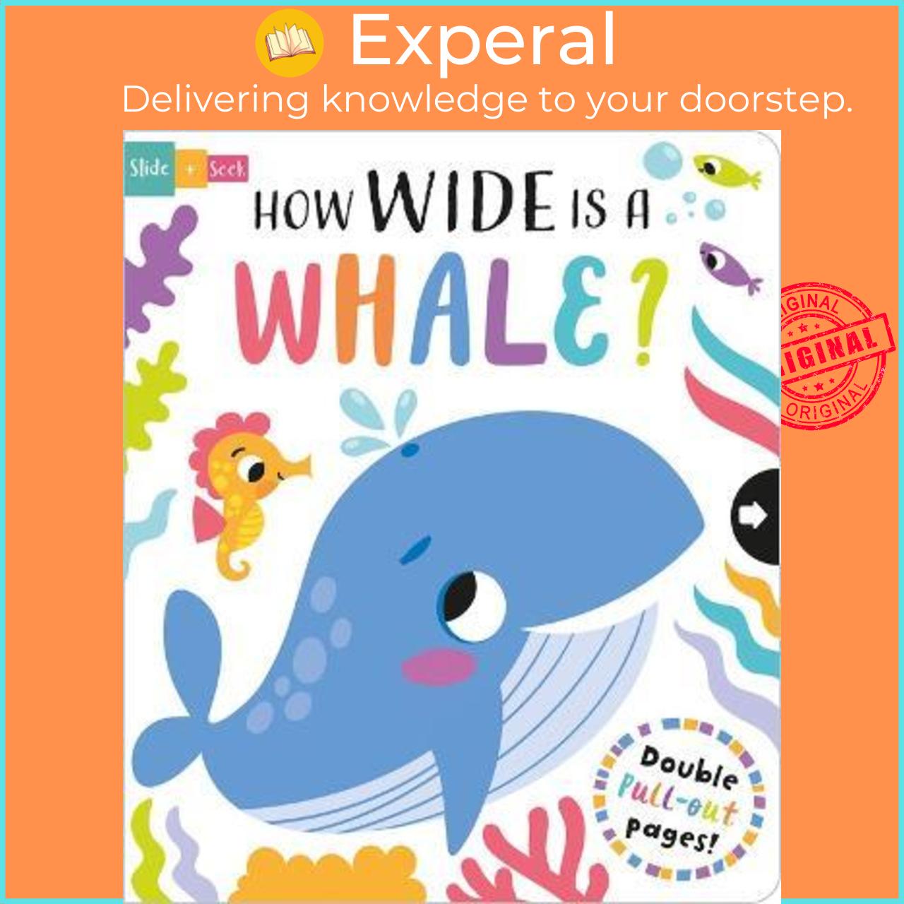 Sách - How Wide is a Whale? by Lisa Regan