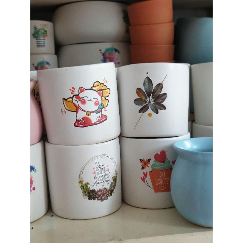 Chậu hạt dẻ bộ trồng sen đá và cây cảnh để bàn