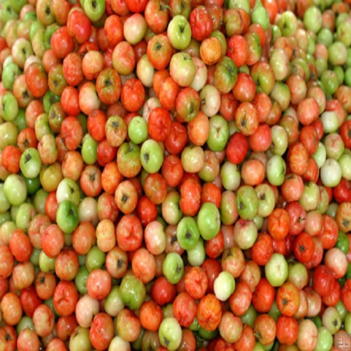 CÂY GIỐNG CÂY SƠ RI THÁI TRÁI NGỌT, SIÊU QUẢ, CAM KÉT CHUẨN GIỐNG F1