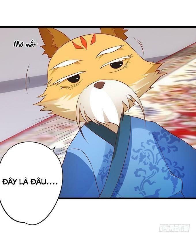 hồ tiên hung bạo chapter 62 36