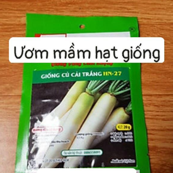 Hạt giống HN Củ cải trắng HN-27 gói 20gr