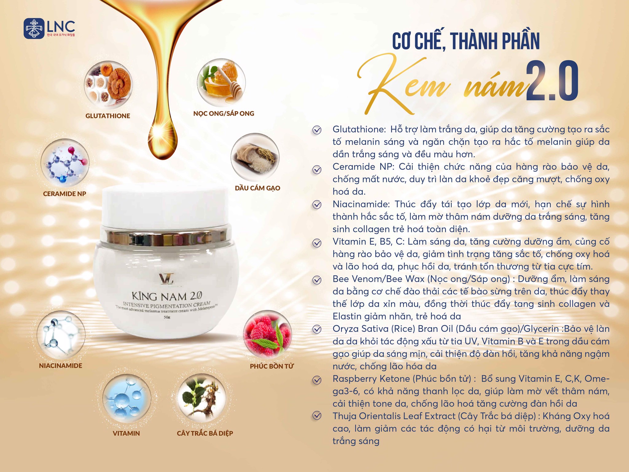 Kem Nám KingNam 2.0 LT COSMETICS Hàn Quốc 50g (LT COSMETICS KINGNAM 2.0 INTENSIVE PIGMENTATION CREAM)