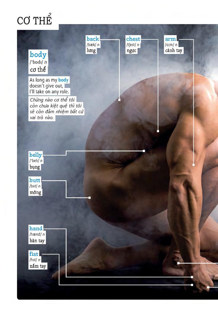 Sách Học Tự Vựng Tiếng Anh Qua Hình Và Ví Dụ Minh Họa