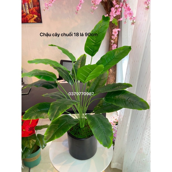 Cây chuối cảnh giả lá bóng