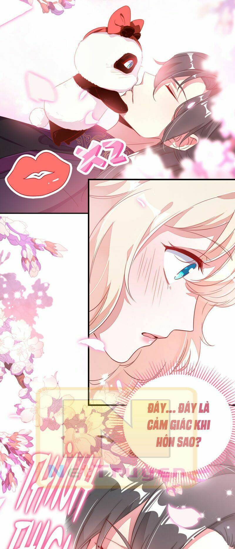 thiên thần gấu trúc muốn được ôm chapter 30 8