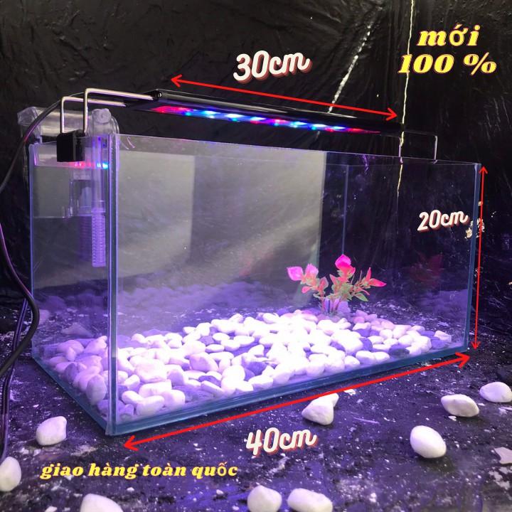 Bể cá mini 40cm COMBO đầy đủ có đèn led siêu dễ thương 3 chế độ sáng
