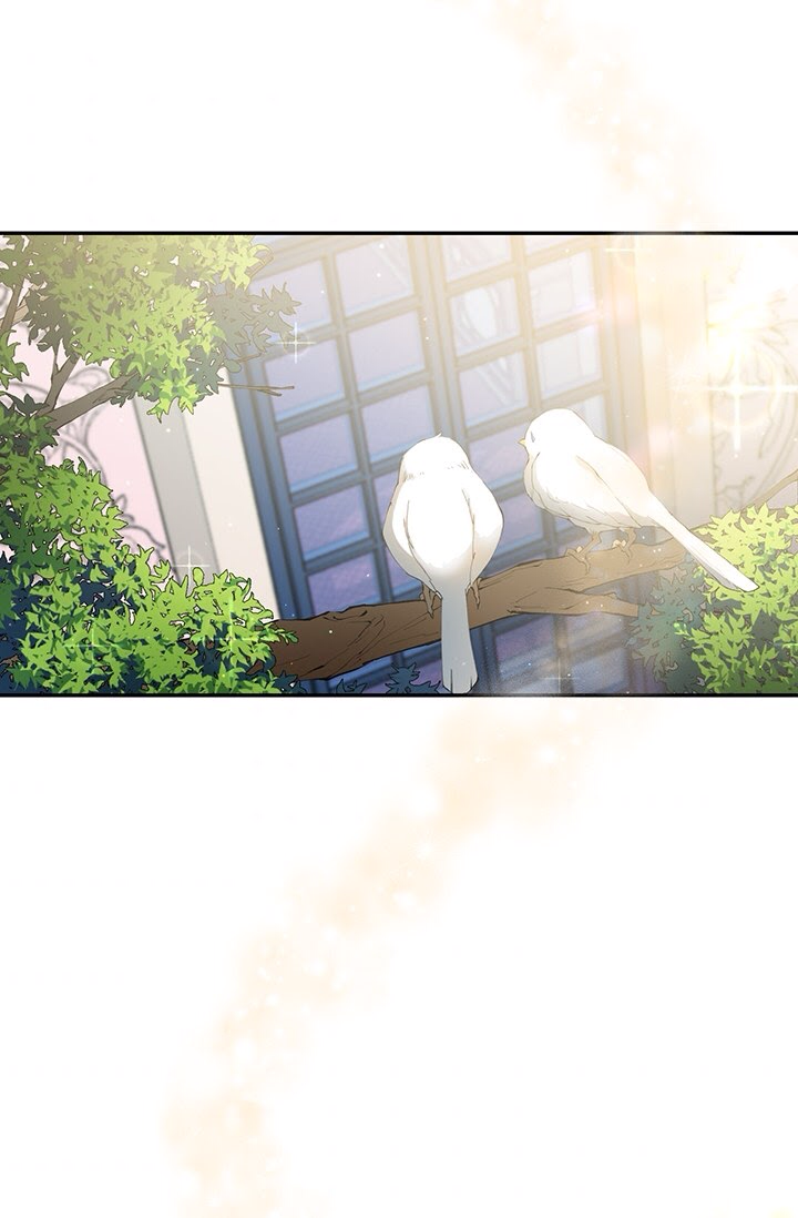 hướng đến ánh dương một lần nữa chapter 2.2 24