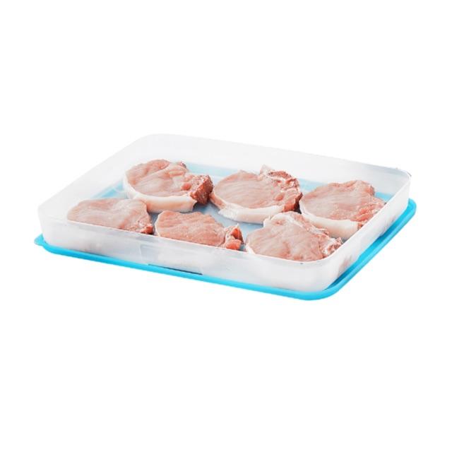 Hộp trữ đông Freezermate dẹp 1.2L