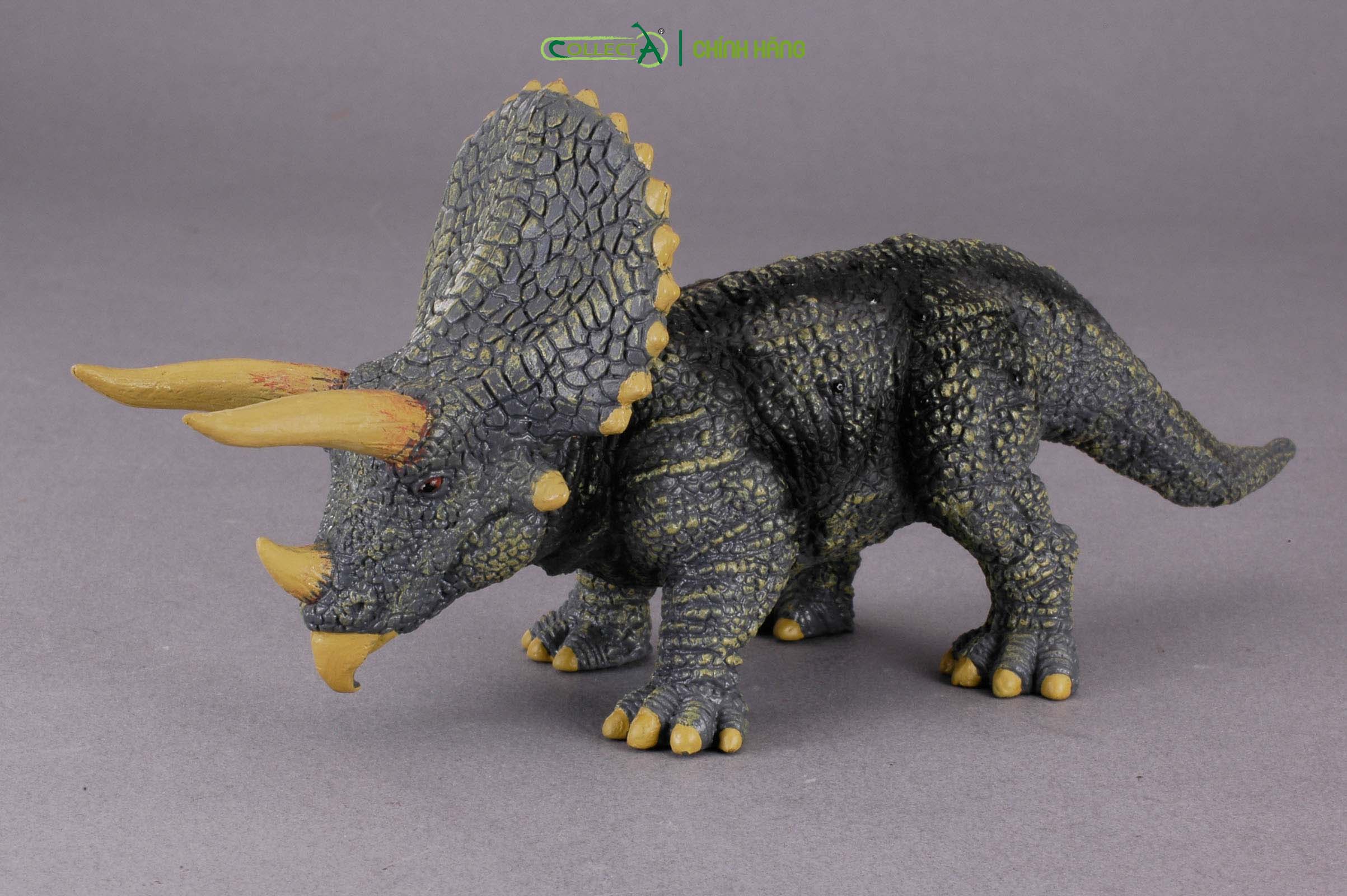 Mô hình thu nhỏ: Khủng Long Triceratops  - Triceratops, hiệu: CollectA, mã HS 9654020[88037] -  Chất liệu an toàn cho trẻ - Hàng chính hãng