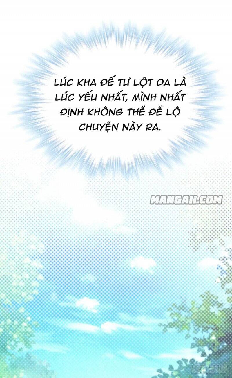 [16+] thảnh thơi thú thế chủng chủng điền, sinh sinh tể chapter 343 23
