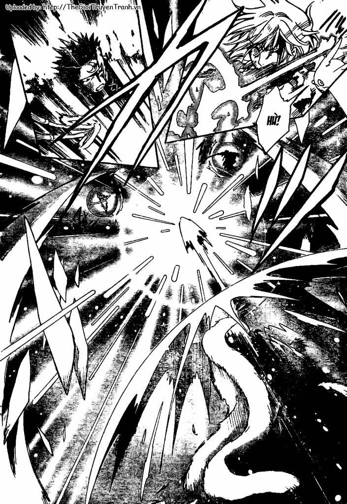 huyền thoại đôi cánh chapter 228 8