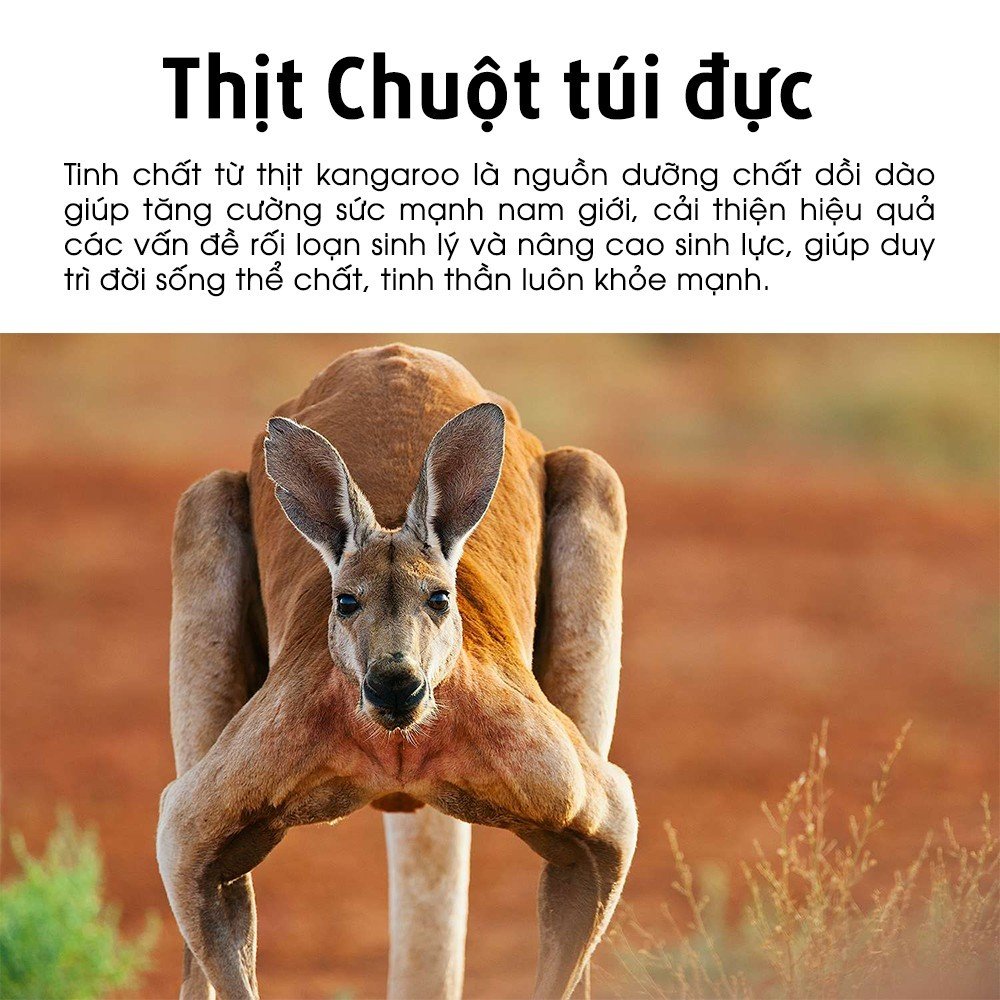 Thực phẩm bảo vệ sức khỏe hỗ trợ tăng cường sinh lực nam giới ALLTIMES CARE KANGAROO 6000mg PLUS - Hộp 100 viên