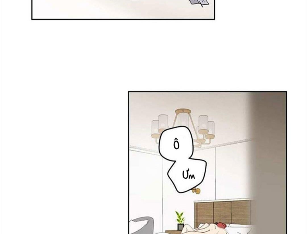 chuyện quái gì với giấc mơ đó vậy chapter 29 126