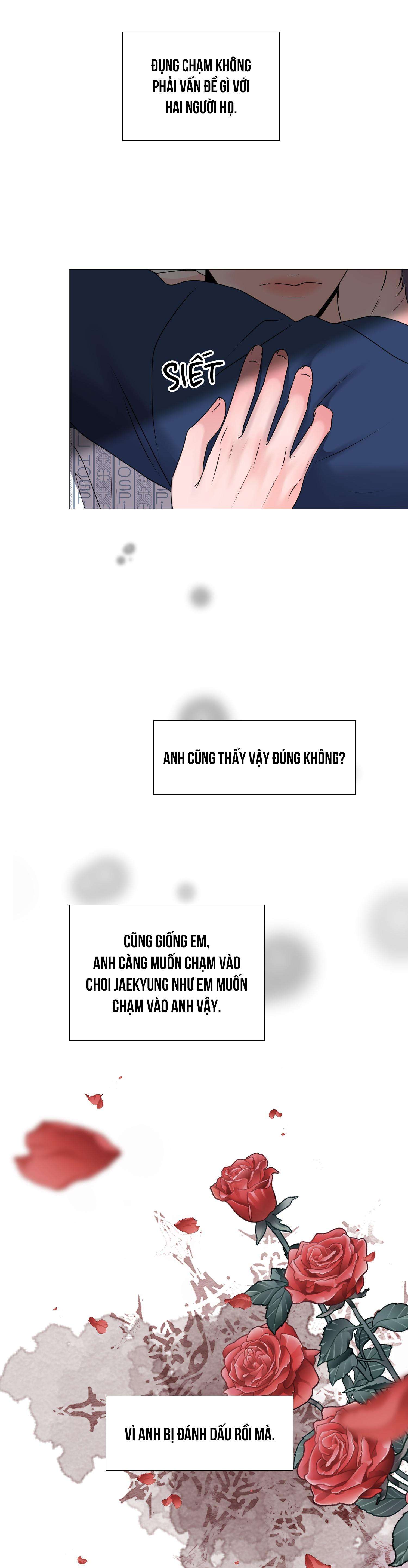 tiền bối của anh chapter 2 35
