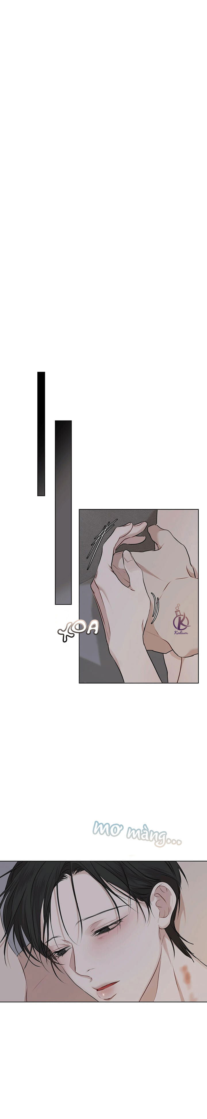 hình thái khởi sinh chapter 42 19