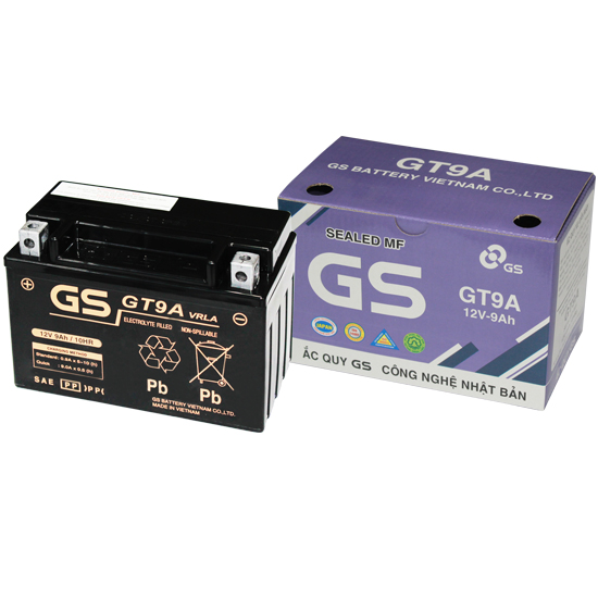 Ắc quy khô GS GT9A (12V9AH)