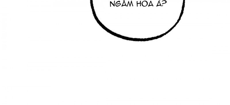 những chú thỏ của hapypy chapter 23.5 137