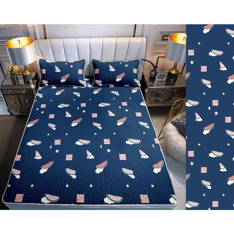 Chiếu điều hòa cao su non 5D M2T Bedding vải lụa Tencel mát cao su non Latex mềm mịn đủ kích thước m6/m8/2m2