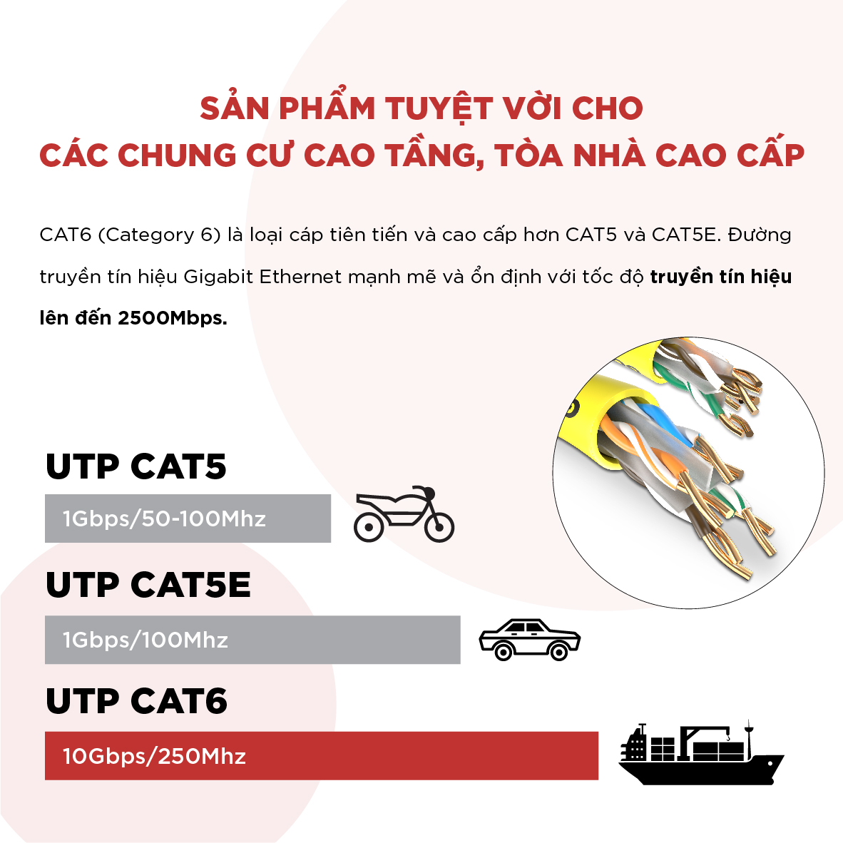 Cáp Mạng UTP CAT6 CCA Golden Link - 250MHz - 3m - 305m - Hàng chính hãng