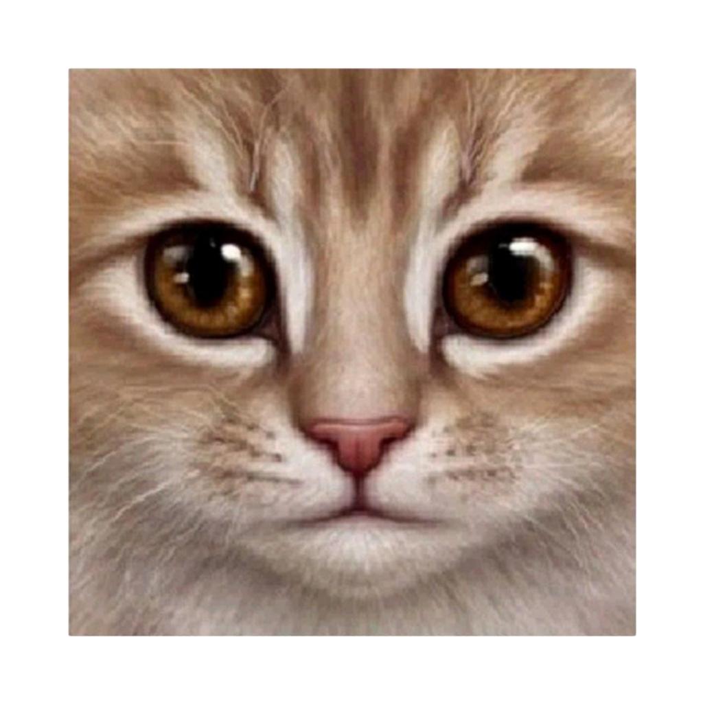 DIY 5D Cat Pattern Diamond Embroidery Rhinestone Painting Cross Stitch Kit