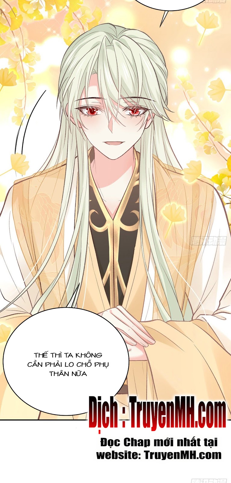 kiều mỵ phu lang, tại tuyến lục trà chapter 28 11