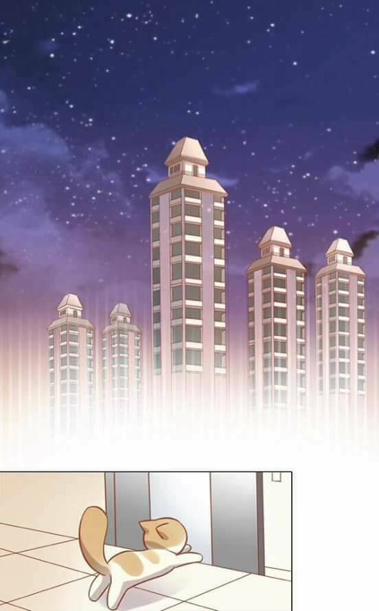 dưới móng vuốt mèo chapter 8 48