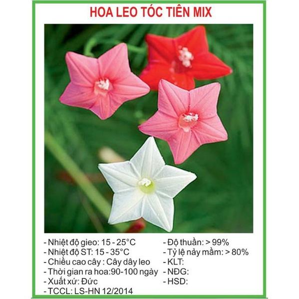 Hạt giống hoa leo giàn tóc tiên mix màu - gói 20 hạt