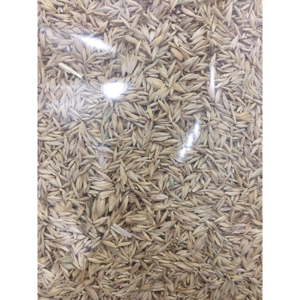 Hạt cỏ knaul cho chim nhỏ như 7 màu, manh manh, yến hót, yến phụng, parrotlet gói nguyên seal 500g