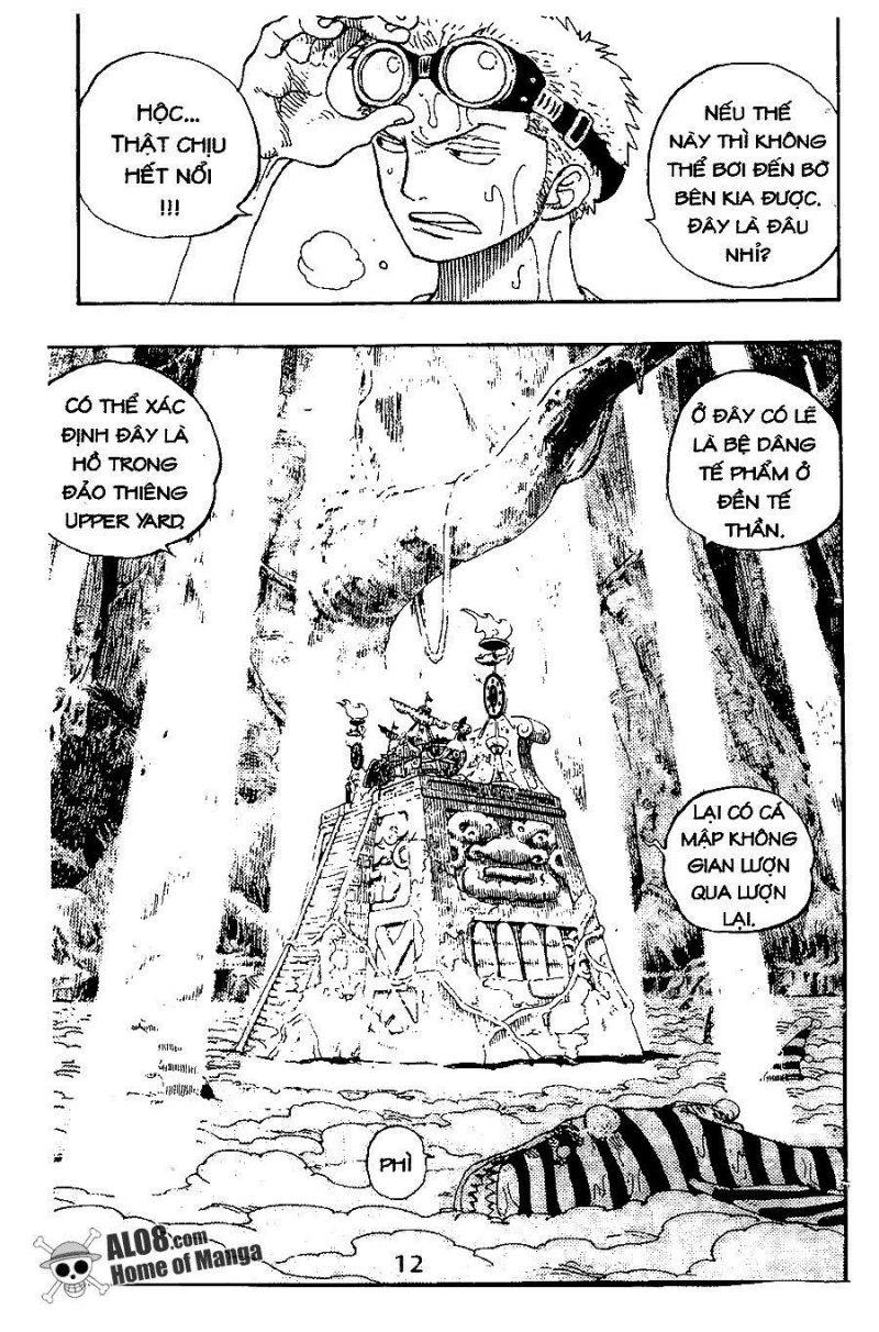 đảo hải tặc - one piece chapter 245 12
